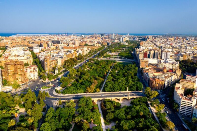 Valencia in 1 Day: Walking Tour With Digital Guide - Experience for Different Traveler Types