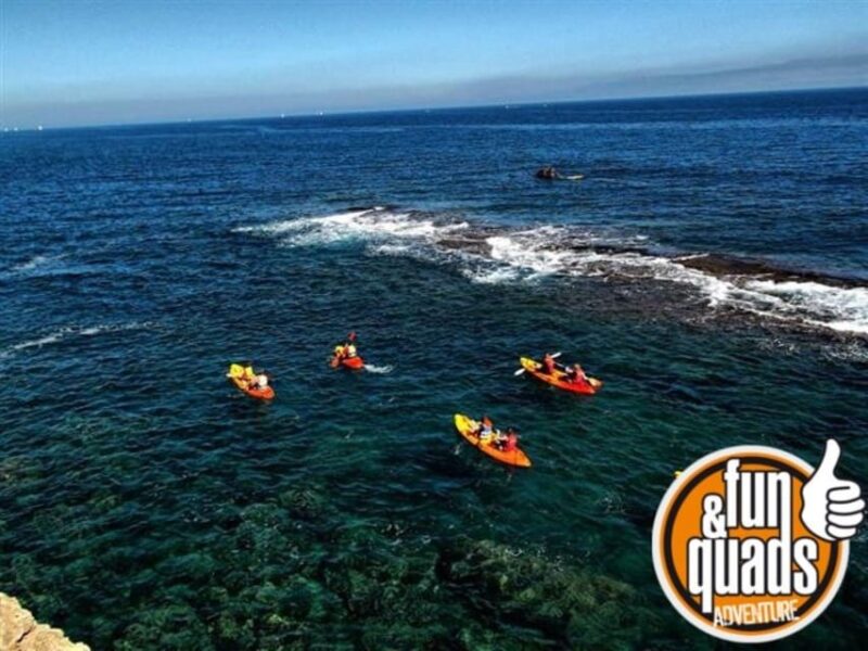 Valencia: Kayak Excursion - Key Points