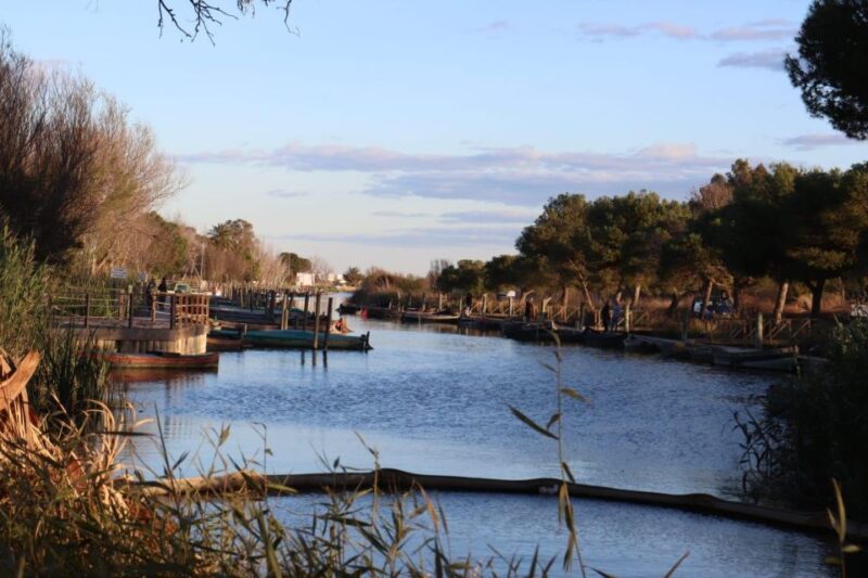 Valencia: Local Market, Boat Trip & Paella Workshop. - Market Exploration and Immersion