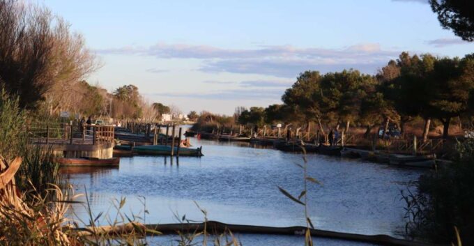 Valencia: Local Market, Boat Trip & Paella Workshop. - Frequently Asked Questions