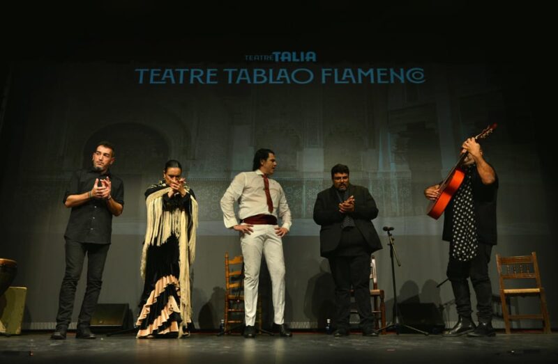 Valencia: New Flamenco Show in the Most Emblematic Theater of the City - Flamenco Elements and Artistry
