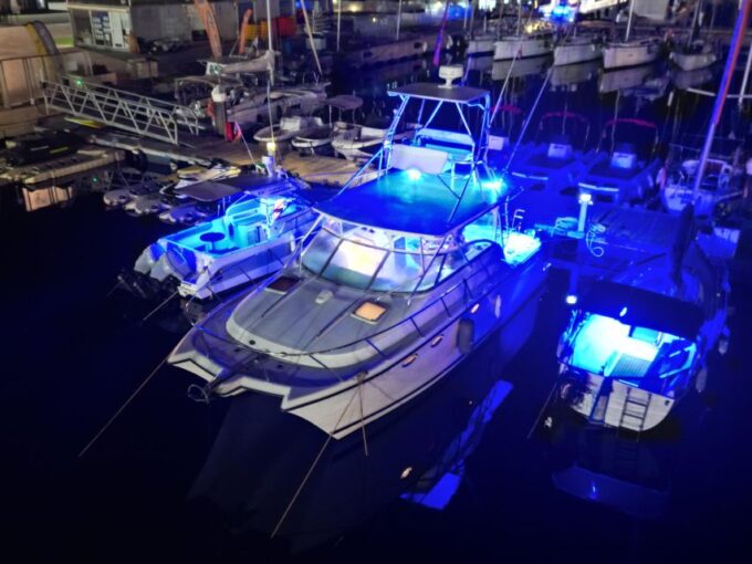 Valencia: Night Cruise With Free Drink - Witness the City Come Alive