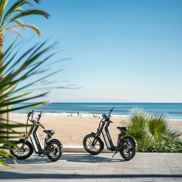 Valencia: Normal Bike and Electric Bike Rental Ruzafa - Booking and Contact Information