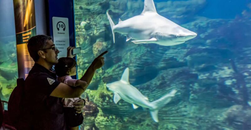 Valencia: Oceanographic Entry Ticket - Oceanographic Overview