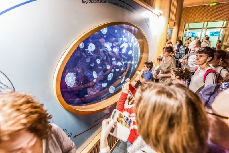 Valencia: Oceanographic Entry Ticket - Operating Hours