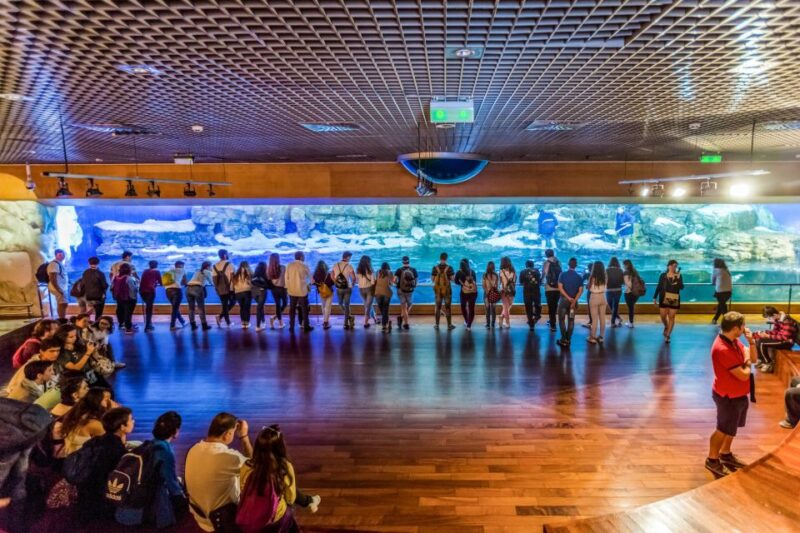 Valencia: Oceanographic Entry Ticket - Customer Reviews