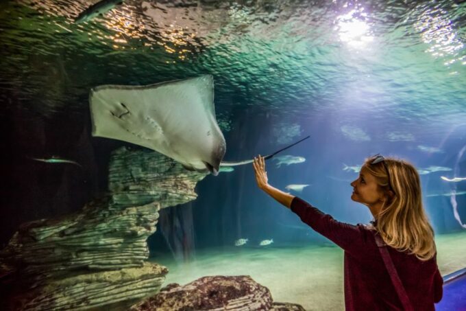 Valencia: Oceanographic Entry Ticket - Visiting the Oceanographic