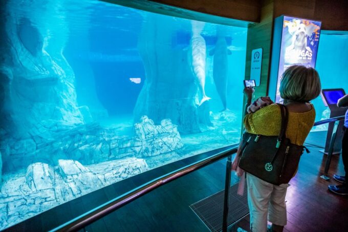 Valencia: Oceanographic Entry Ticket - Things to Explore