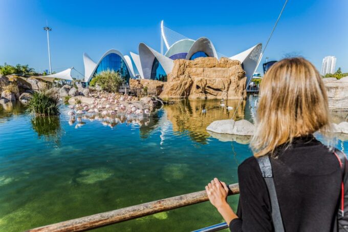 Valencia: Oceanographic Entry Ticket - Practical Information