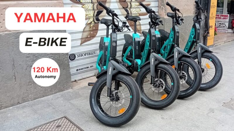 Valencia: Old Town to Modern Marvels Premium EBike Yamaha - Tour Features