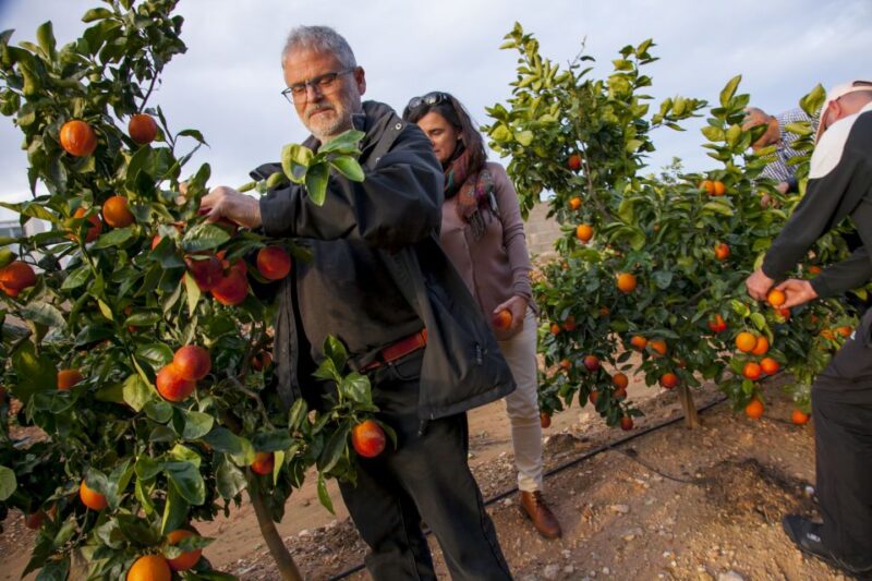 Valencia: Orange Farm and Orchard Trip With Tastings - Duration and Pricing