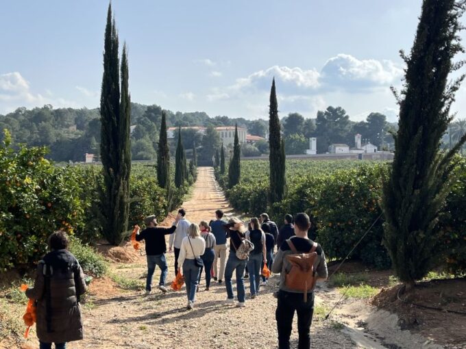 Valencia: Orange Farm and Orchard Trip With Tastings - Visitor Information