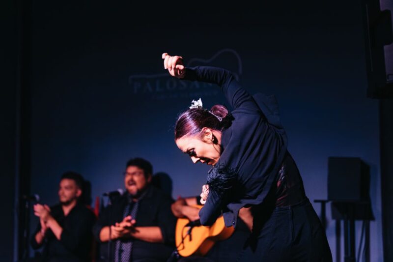Valencia: Palosanto Flamenco Show Ticket - Show Experience