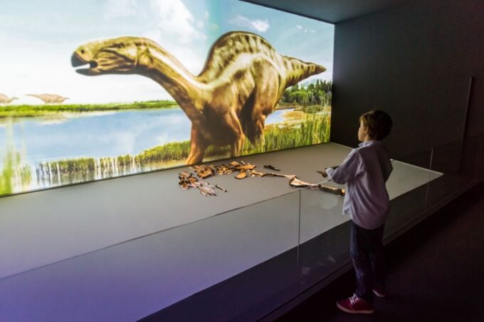 Valencia: Principe Felipe Science Museum Entry Ticket - Visitor Feedback and Ratings
