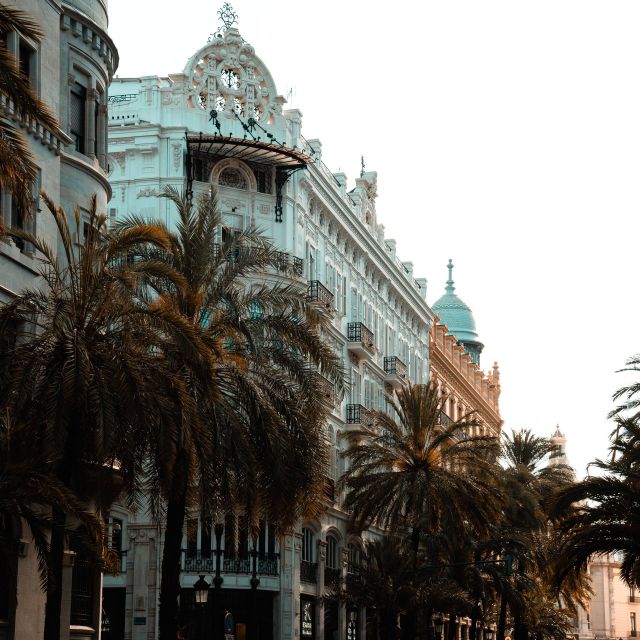 Valencia: Private and Guided City Walking Tour - Cultural and Historical Insights
