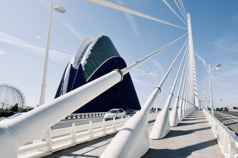 Valencia: Private Half-Day Tour by Car - Admiring the City of Arts and Sciences