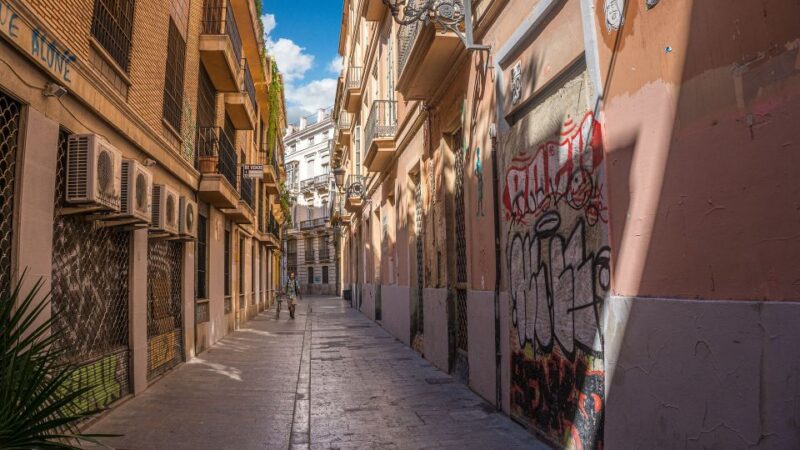 Valencia - Private Historic Walking Tour - Key Points