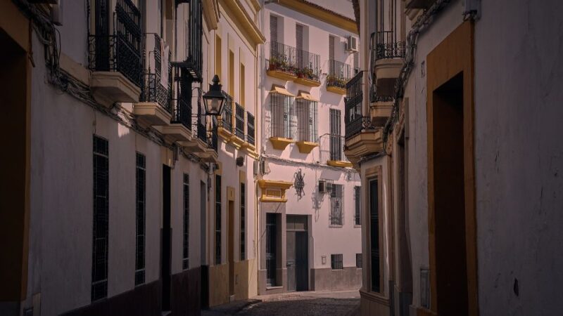 Valencia - Private Historic Walking Tour - Torres De Serranos