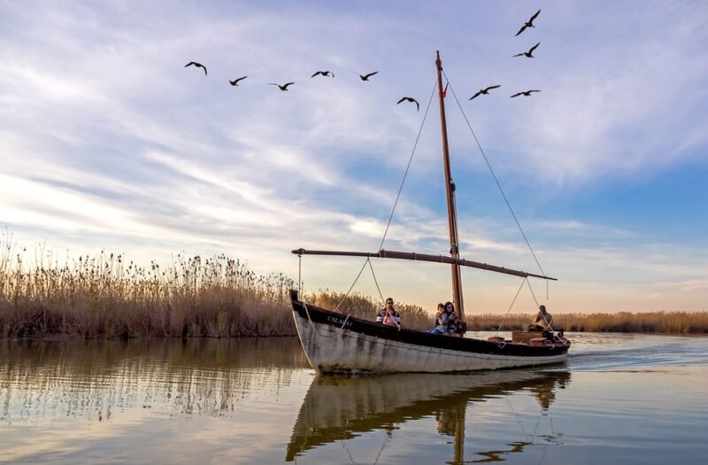 Valencia: Private Tour - Tour Guide