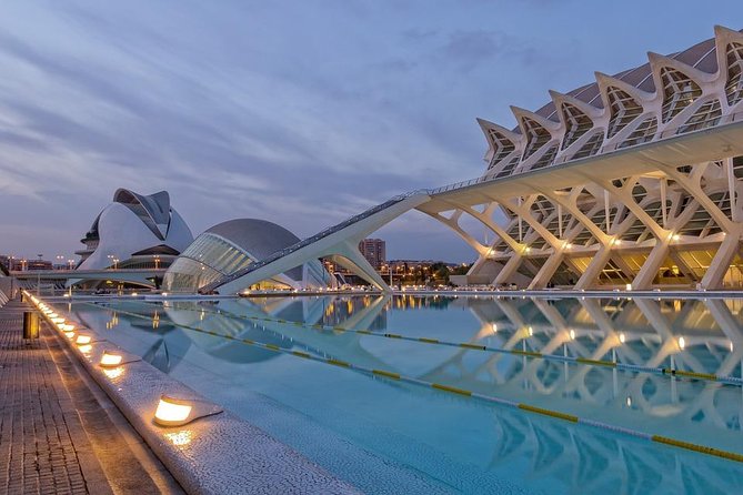 Valencia Private Tour With Hotel or Cruise Port Pick up - Customizable Itinerary to Match Interests