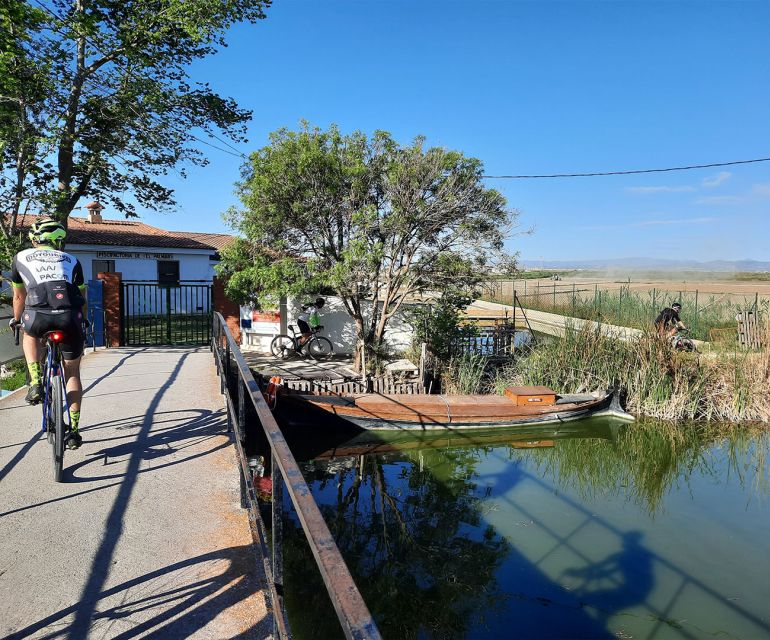 Valencia: Road to La Albufera Guided Bike Tour - Discovering Pinedo Beachs Natural Wonders