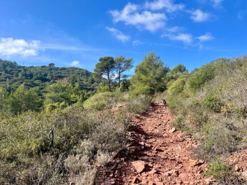Valencia: Sierra Calderona & El Garbí Mountain Hiking Tour - Transfer to and From Sagunto Train Station