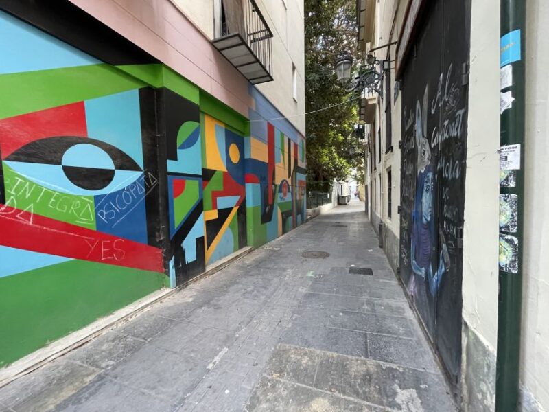 Valencia: Street Art Tour on Bicycle, E-Bike or E-Step - Meaningful Street Art
