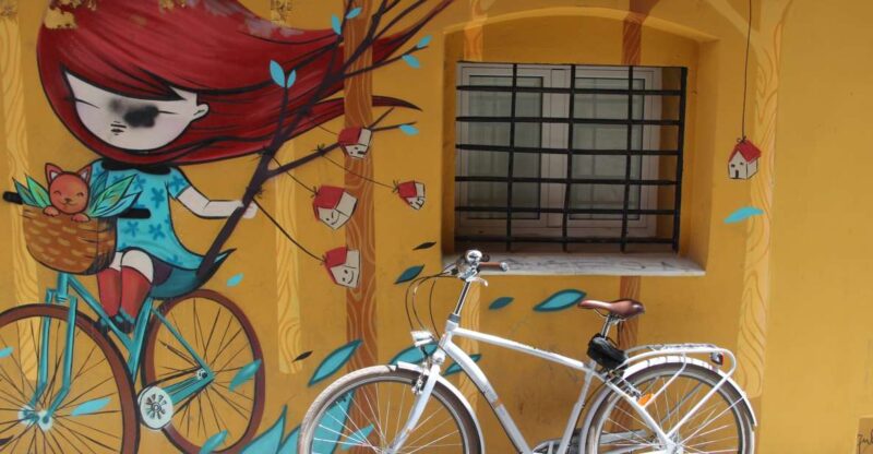 Valencia: Street Art Tour on Bicycle, E-Bike or E-Step - Tour Inclusions