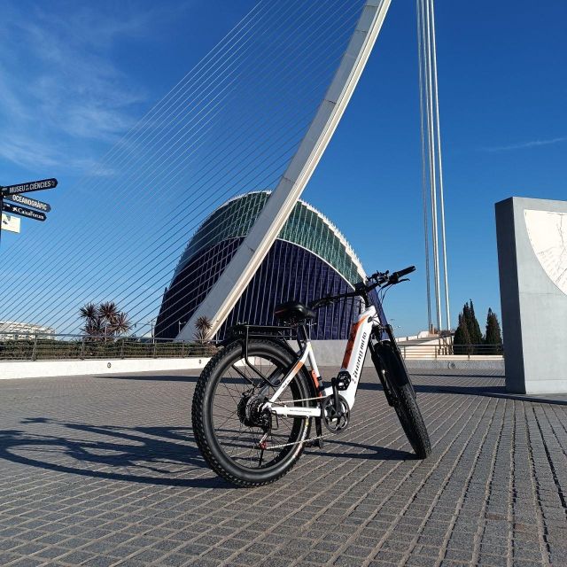 Valencia: The Albufera Lake Self-Guided E-Bike Tour - Experience Details