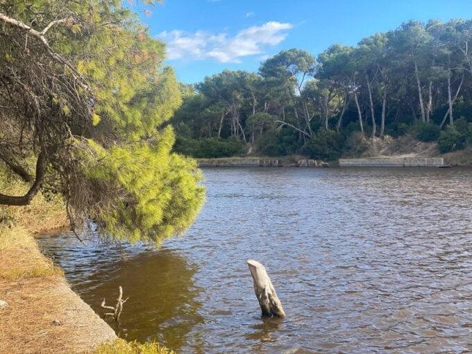 Valencia: The Albufera Lake Self-Guided E-Bike Tour - Frequently Asked Questions