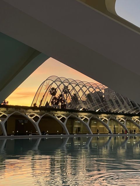 Valencia: the Best 18 Spots in the City by Bike! - Oceanogràfic (Underwater Restaurant)