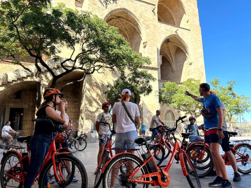 Valencia: TOP-20 City Sights Guided Tour, New Bike/E-Bike - Transportation Options