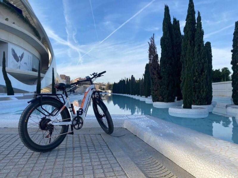 Valencia: Top 25 Highlights Guided Bike Tour - Key Points