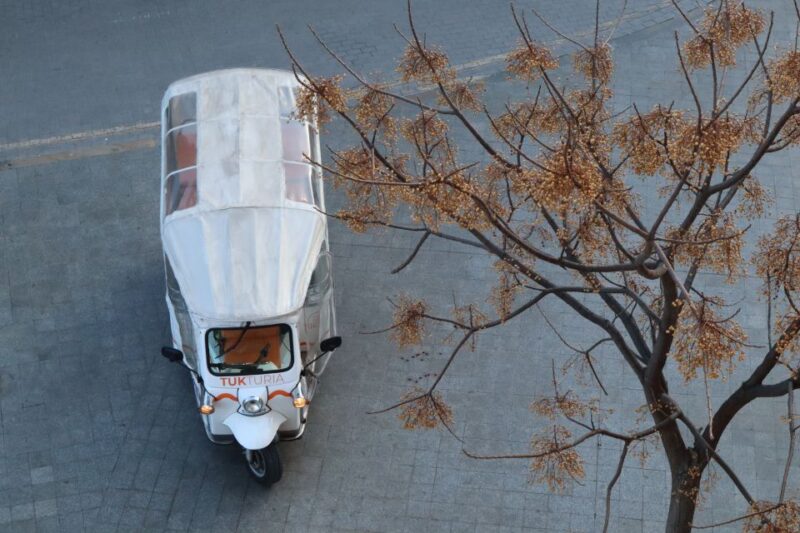Valencia: Tuk Tuk Historical Tour - Cultural Insights