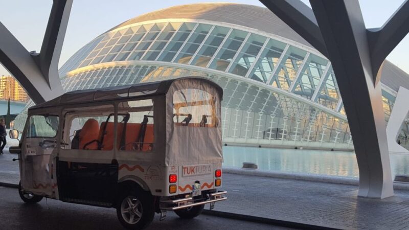Valencia: Tuk Tuk Modern Tour - Key Points