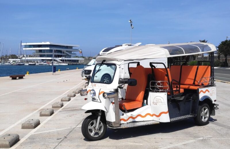 Valencia: Tuk Tuk Modern Tour - Booking Information