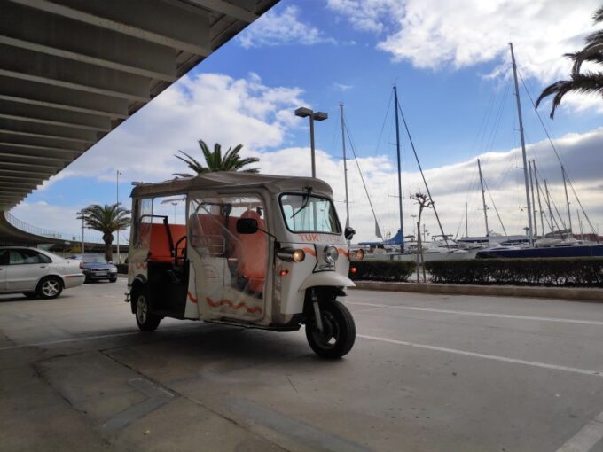 Valencia: Tuk Tuk Modern Tour - Exploring Jardines Del Turia