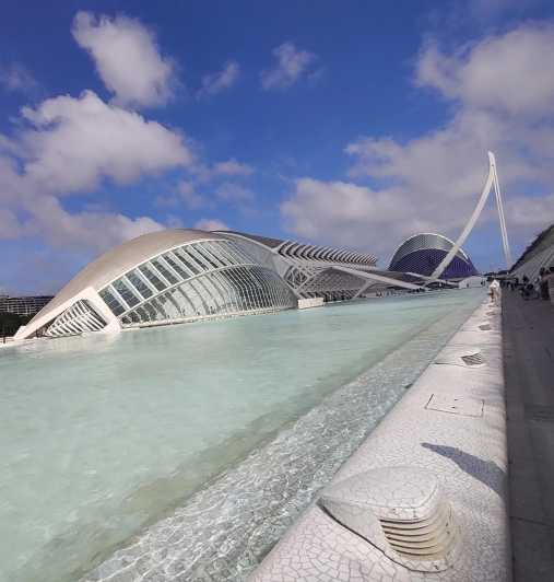Valencia: Turia Park Guided Bike Tour - Frequently Asked Questions