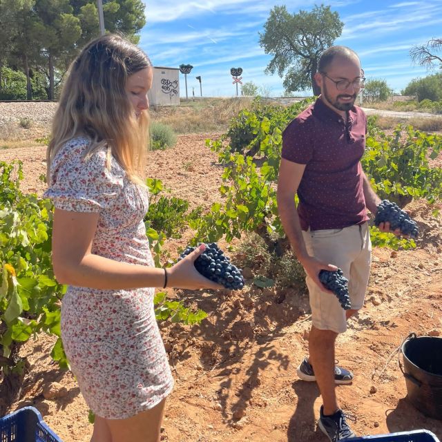 Valencia: Utiel-Requena Cave & Winery Day Trip With Tasting - Exploring the Valencian Valleys