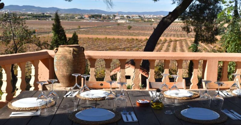 Valencia: Utiel-Requena Cave & Winery Day Trip With Tasting - Discovering the Villa Caves