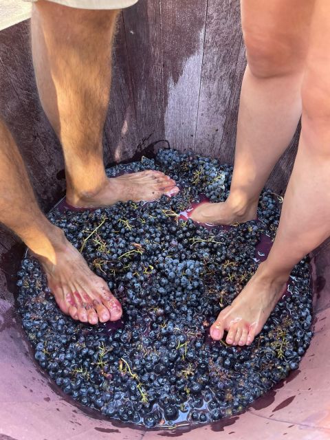 Valencia: Utiel-Requena Cave & Winery Day Trip With Tasting - Cancellation and Duration Details