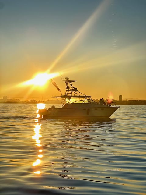 Valencia: VIP Sunset Cruise in Catamaran With Drink - Customer Feedback