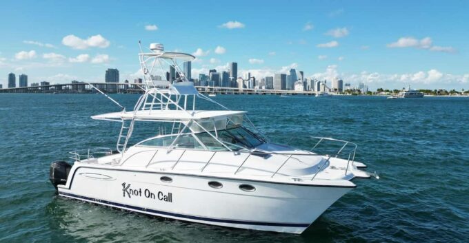 Valencia: VIP Sunset Cruise in Catamaran With Drink - Cruise Duration and Departure