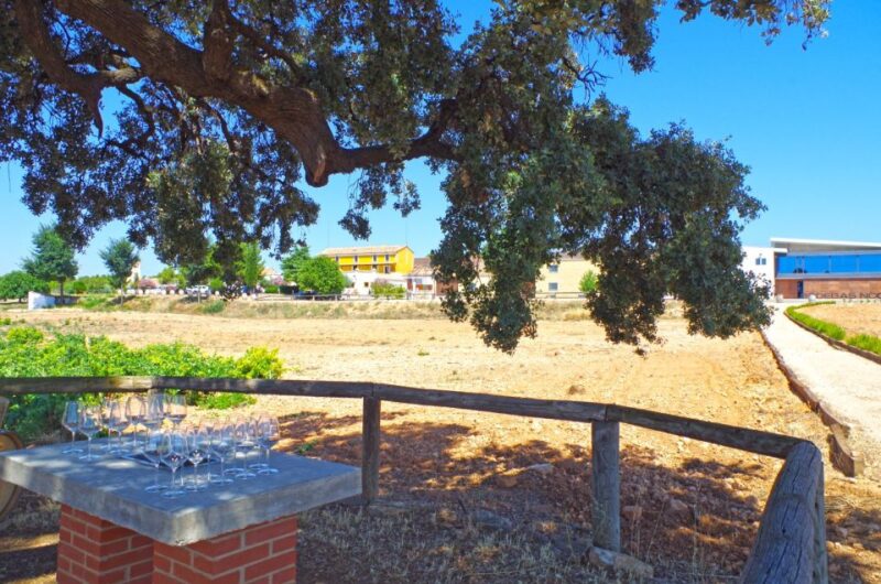 Valencia: Winery Visit With Vineyard Tour & Wine Tasting - Duration and Inclusions