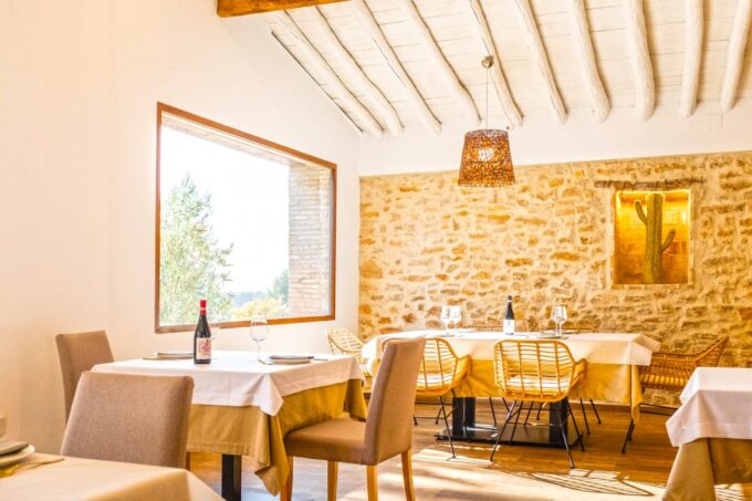 Valencia: Winery Visit With Vineyard Tour & Wine Tasting - Meeting Point and Directions