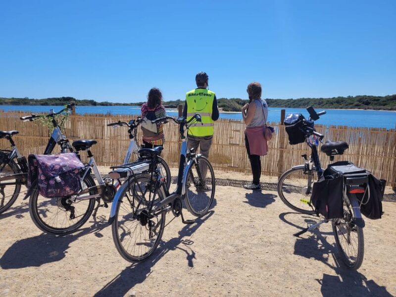 Valencias Albufera, Cycling Guided Tour - Key Points