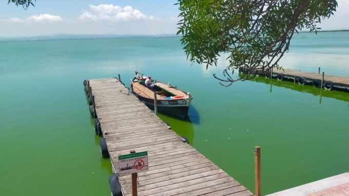 Valencias Albufera, Cycling Guided Tour - Enhancing the Experience