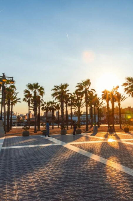 Valencia's Beaches, City of Arts, and Cabanyal - Accessibility and Mobility Considerations