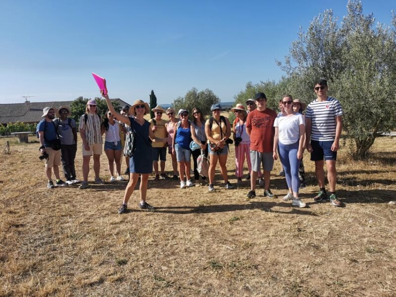 Valensole : Visit of a Winery and Lavender Farm - Key Points