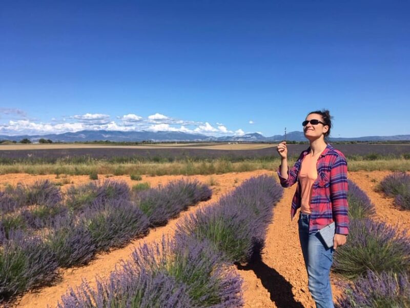 Valensole : Visit of a Winery and Lavender Farm - Refreshments and Offerings